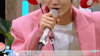 My brother is so handsome (Chen Zheyuan)