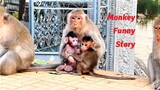 Ah Look So Funny!  Young Mother Monkey Rany Always Makes Jokes with Poor Mother Sarah Happily
