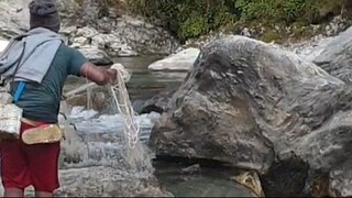 cast net fishing in Nepal | himalayan trout fishing | asala fishing |