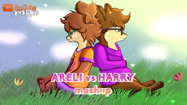 Areli vs Harry - (Mashup) - [Lyric Video]