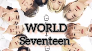 World -- SEVENTEEN ( Lyrics Rom/Eng)