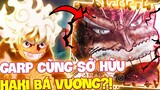 GARP CÓ SỠ HỮU HAKI BÁ VƯƠNG?! | CẢ GIA ĐÌNH MONKEY D LUFFY ĐỀU CÓ BÁ VƯƠNG?!