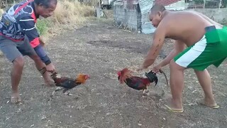 spar