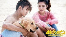 21. TITLE: Hero Dog Season 2 [2016]/Chinese Series Family-Friendly English Dubbed Episode 21 HD