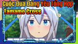 Tuyển Tập Về Tamamo Cross| Anime Cuộc Đua Đáng Yêu