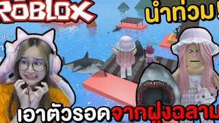 เอาตัวรอดจากฝูงฉลามบนเกาะกลาง ROBLOX !