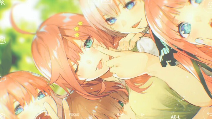 【MAD】ColorfulFlower【五等分的花嫁】