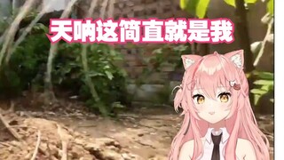 【Hiiro】看猫猫的一天