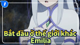 [Bắt đầu ở thế giới khác] Bạn có yêu một Emilia như vậy?_1