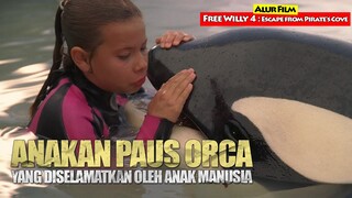 Menyelamatkan Paus Orca Yang Terpisah Dari Kawananya | Alur Cerita Film FREE WILLY 4