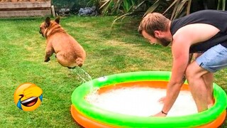 Funniest Cats And Dogs Videos - Best Funny Animal Videos 2022 😇