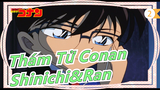 [Thám Tử Conan] Shinichi&Ran - Khoảnh khắc rung động cuối thế kỷ - Mong cậu có giấc mơ đẹp_J