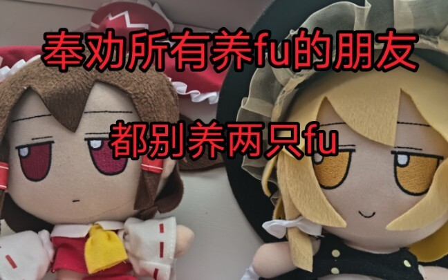 【fumo】奉劝所有养fu的朋友        都别养两只fu