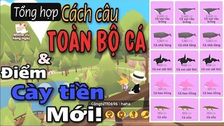 Play Together | Điểm Cày Tiền Mới Và Tất Cả Các Loại Cá Trong Play Together | Quí KA