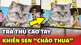 Màn TRẢ THÙ CAO TAY của Hoàng Thượng khiến con Sen CHÀO THUA 😂 | Yêu Lu