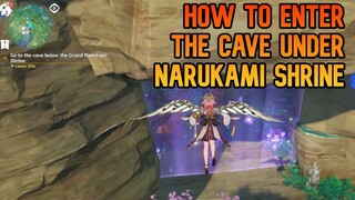 How to Pass the Electro Wall Under Narukami Shrine