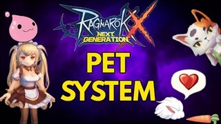 Pet System - Ragnarok X: Next Generation