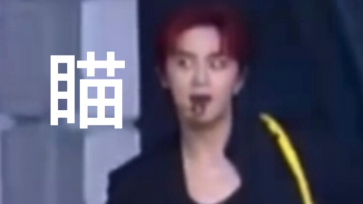 【威神v】当演出音乐突然停止时……