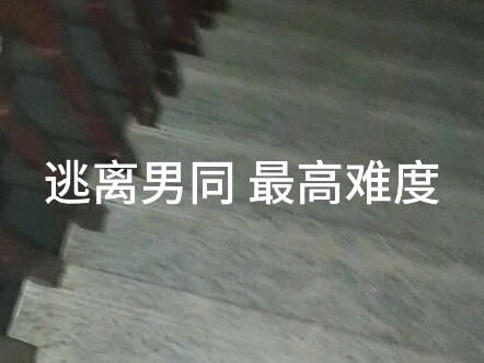 真实事件 绝非造假
