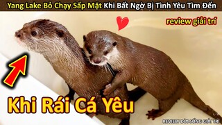 Đột nhiên được Tỏ Tình Vồ Vập, Yang Lake Bỏ Chạy Sấp Mặt || Review Giải Trí Đời Sống