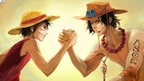 ❦Ace and Luffy❣|One Piece Edit