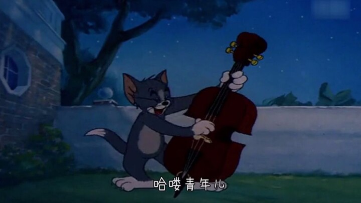 Dialek Shandong yang lucu dijuluki "Tom dan Jerry", Tom menggoda gadis-gadis tetapi Jerry mengacauka