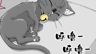 [2P Comics] The sickly domestic cat whose love is too heavy