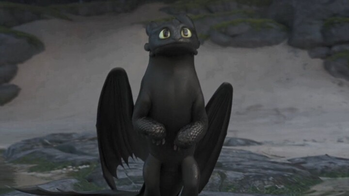 Toothless is really a dog, his sense of smell is so useful, he can find the light evil spirit by sme