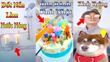 Thú Cưng TV | Dương KC Pets | Ngáo Husky Troll Bố #19 | chó thông minh vui nhộn | funny cute dog