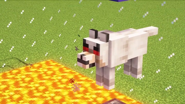 [Game] "Minecraft" | 100 Wolves vs. 1 Sheep