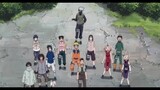 Naruto, Sakura, Lee, Hinata, Kiba, Shikamaru, Neji, Choji, Kiba, Shino Funny Episode   English Dub