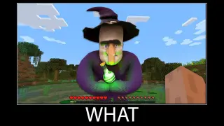 Minecraft wait what meme part 120 realistic minecraft Witch