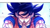 True Ultra Instinct - Trạng thái mới của Goku , Bản năng vô cực người Saiyan#1.1