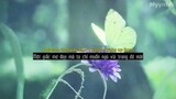 [Vietsub + Lyrics] So Tender - Say Sue Me (Nevertheless OST)