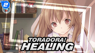 [Toradora! / Healing] Have You Seen the Tiger in My Hand?_2
