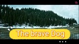 The Brave Dog action/adventure