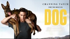 Dog 2022 (Comedy/Drama)