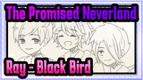 [The Promised Neverland/Animatic] Ray - Black Bird, Spoiler alert