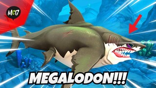 Megalodon Hiu Terbesar! - Hungry Shark World