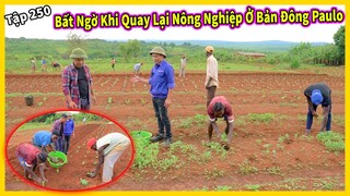 Bất Ngờ Khi Quay Trở Lại Với Nông Nghiệp Bản Đông Paulo