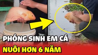 Cảm động chàng trai TRẢ TỰ DO cho chú CÁ sau hơn 6 NĂM gắn bó ❤️ | Yêu Lu