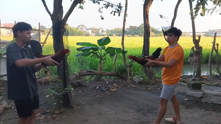 Short Sparring ng mga stags namin (March 6, 2023)