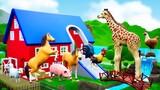 Sliding Barn Animals Farm - Funny Animals Play Slider Game in Farm | 3D Cartoons Animals 2022