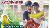 PISANG AJAIB❗bocil epep auto kaya | komedi muhyi official