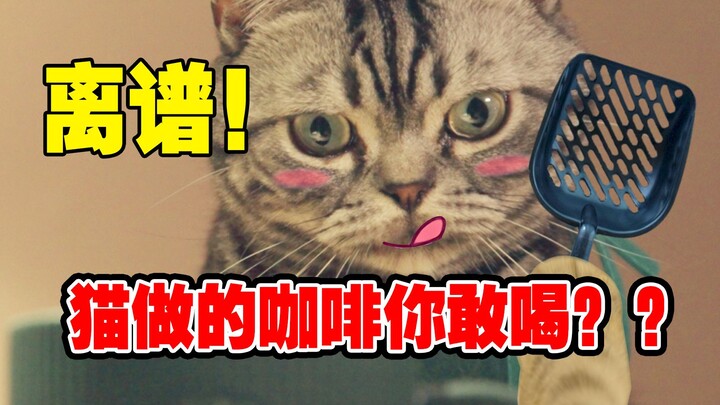 星喵克，这才是真正的猫屎咖啡！！