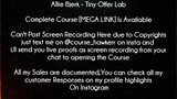 Allie Bjerk Course Tiny Offer Lab Download