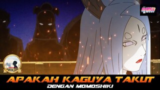 APAKAH KAGUYA TAKUT DENGAN MOMOSHIKI?