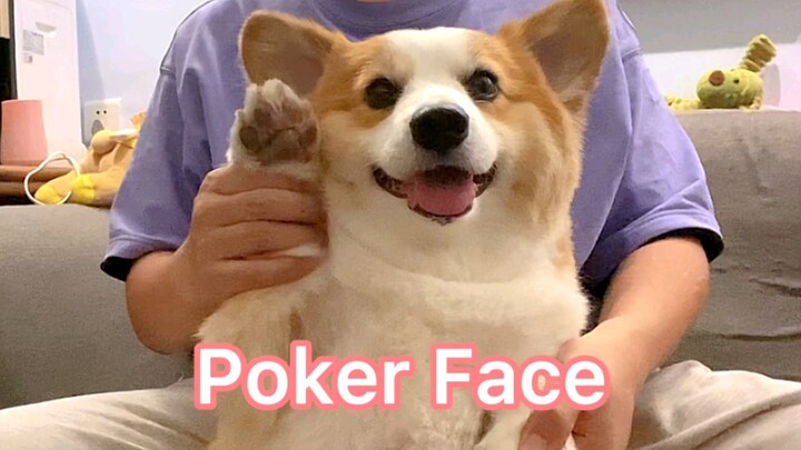 Boss Pi Dance丨Poker Face