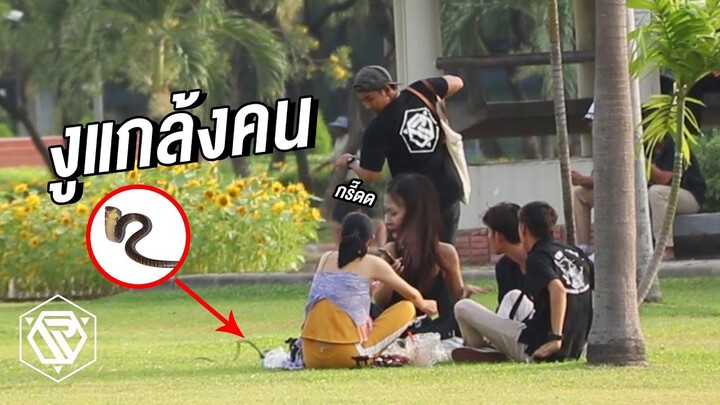 งูแกล้งคน!! มันเลื้อยเข้ามาอยู่ที่เอว RAMER EP.64