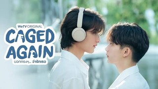 Caged Again EP 10 finale eng sub 🇹🇭 bl